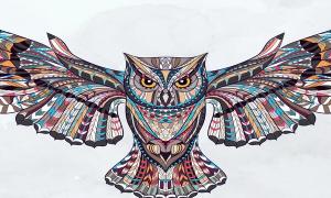 Значение татуировки совы